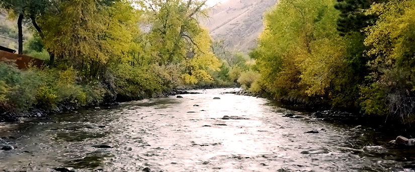 Moving image of Clear Creek in Golden Colorado, followed by fields of Lavender, Our Owner Kelly cutting bar soap in the warehouse, finishing with Wracks of naked lavender bar soap that pan up to a soap making sign