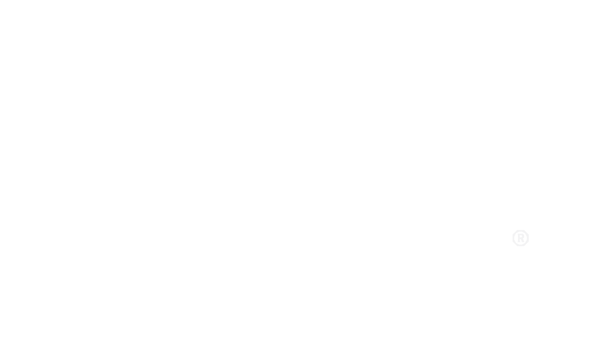 Spinster Sisters brand Logo