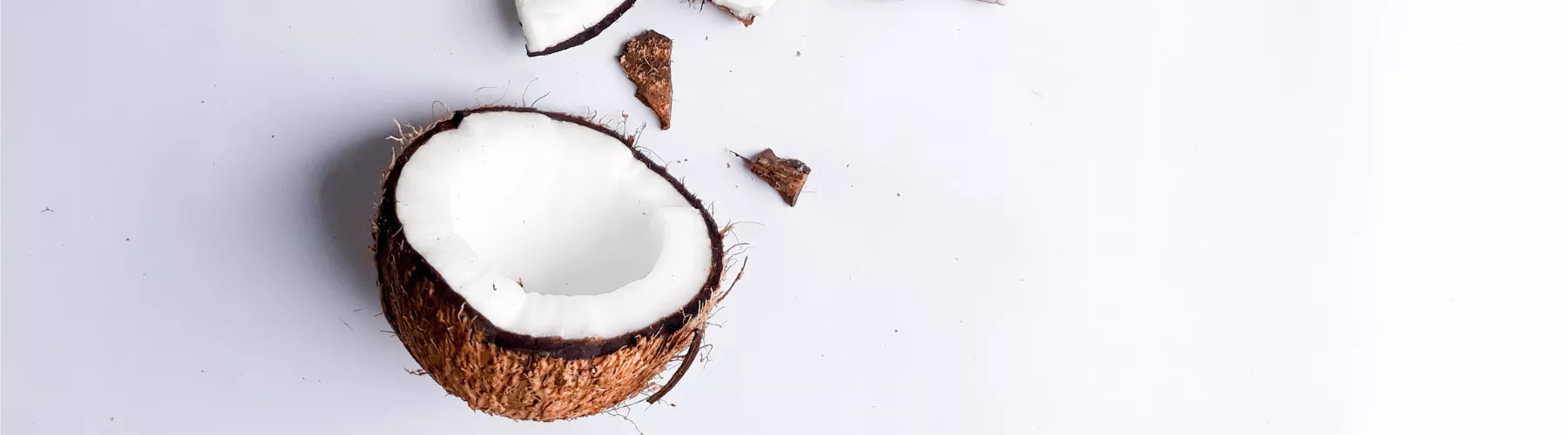 Why We Use Coconut As A Natural Preservative
